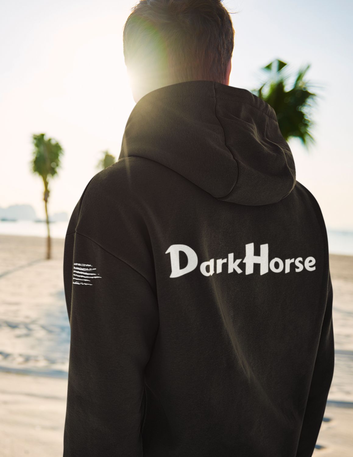 DarkHorse Rear Logo Hoodie