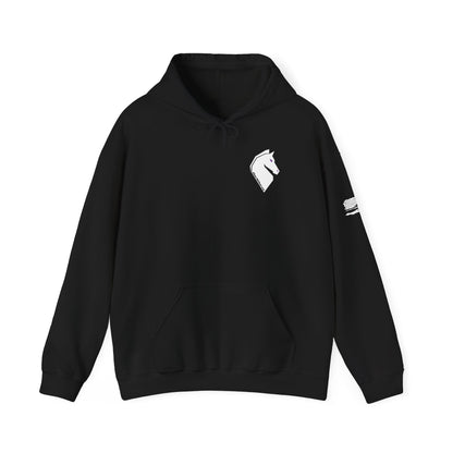 DarkHorse Rear Logo Hoodie